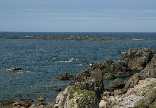 201008261333-DSC08823.jpg