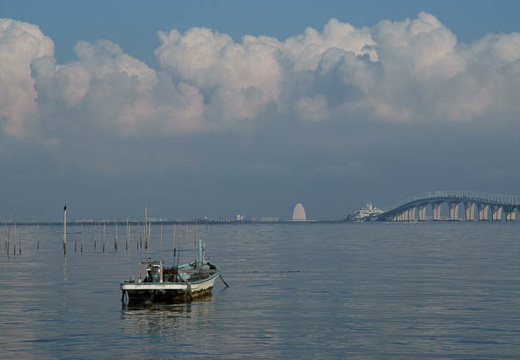201009010722-DSC00805.jpg