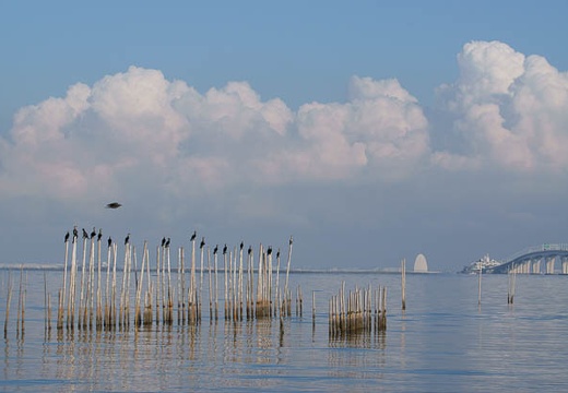 201009010725-DSC00816.jpg