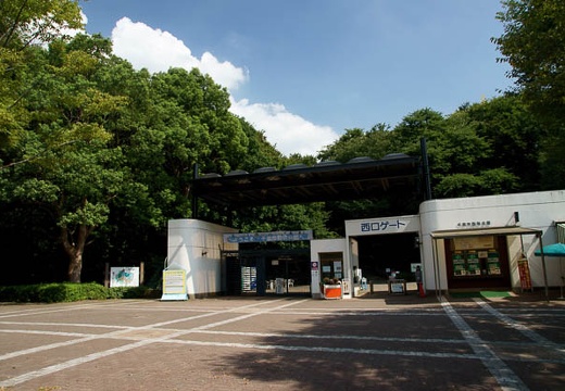 201009021333-DSC01763.jpg