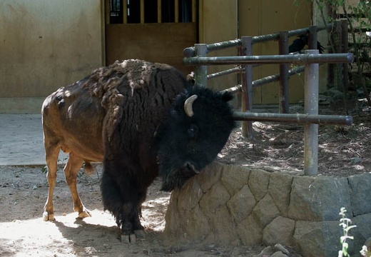 201009021342-DSC01779.jpg