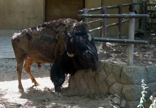 201009021342-DSC01780.jpg
