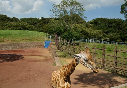 201009021404-DSC01857.jpg