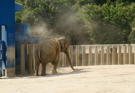 201009021408-DSC01869.jpg
