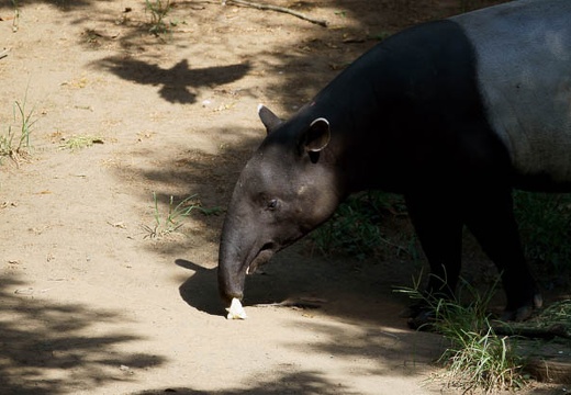 201009021416-DSC01903.jpg