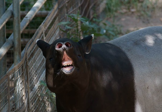 201009021417-DSC01907.jpg