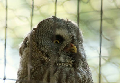 201009021419-DSC01920.jpg