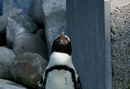 201009021429-DSC01947.jpg