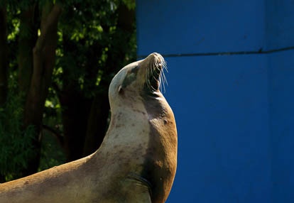 201009021433-DSC01960.jpg