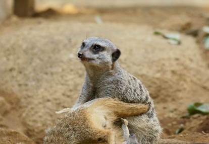 201009021509-DSC01997.jpg