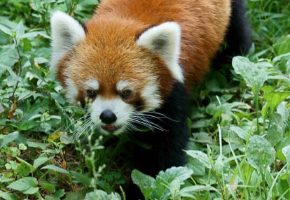 09.02 千葉市動物公園