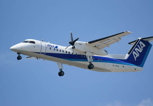 201009031052-DSC02342.jpg
