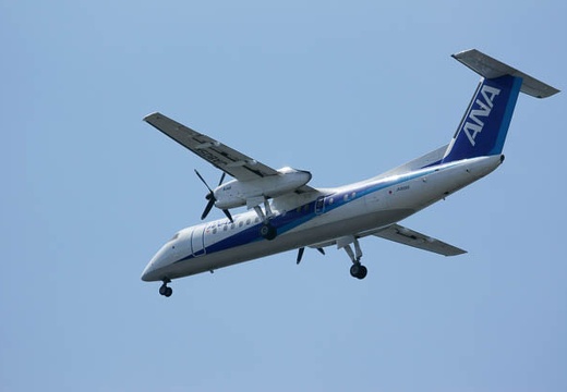 201009031052-DSC02346.jpg