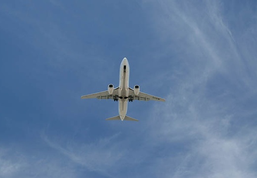 201009031102-DSC02386.jpg