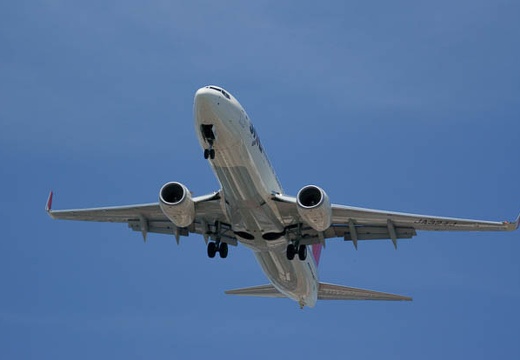 201009031105-DSC02399.jpg