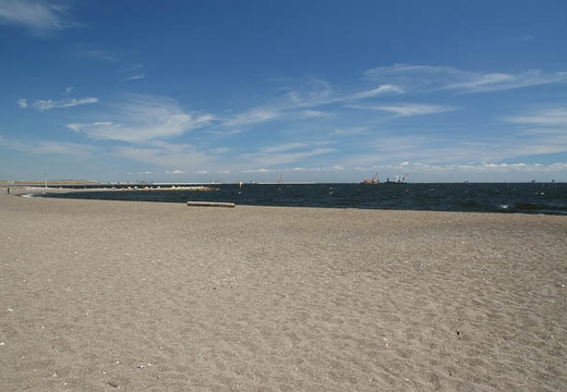 201009031216-DSC02639.jpg