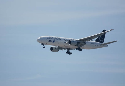 201009031259-DSC02755.jpg