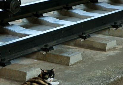 201009031531-DSC02866.jpg