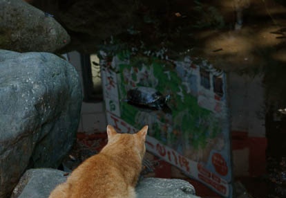 201009061117-DSC03462.jpg