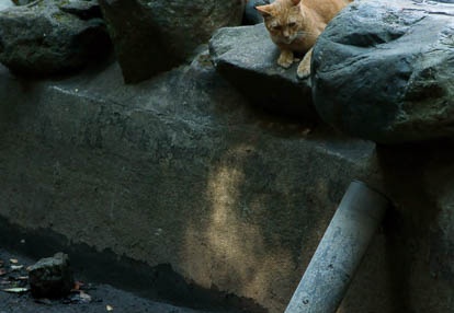 201009061118-DSC03468.jpg