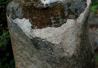 201009061343-DSC03761.jpg