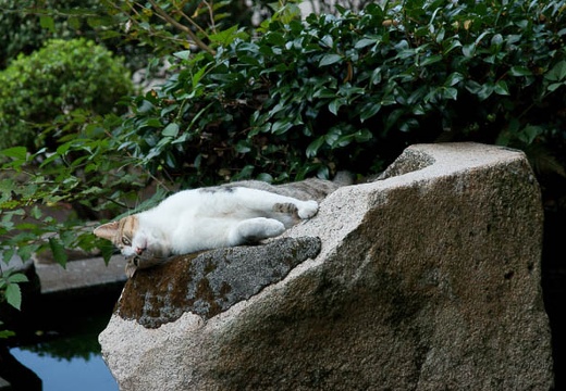 201009061344-DSC03766.jpg
