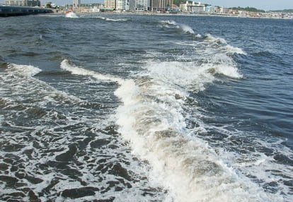 201009061458-DSC03878.jpg