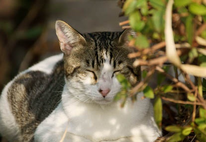 201009091542-DSC04579.jpg
