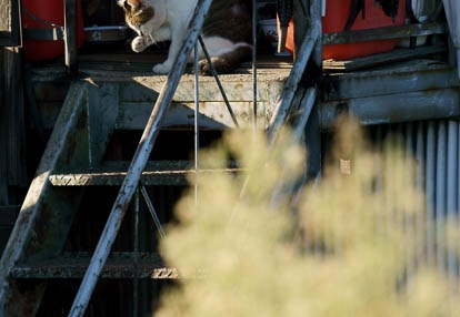 201009091607-DSC04605.jpg