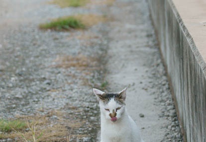 201009091739-DSC04741.jpg