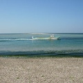 201009101344-DSC00058.jpg