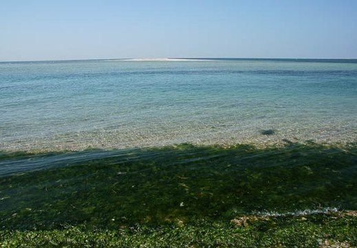 201009101345-DSC00060.jpg