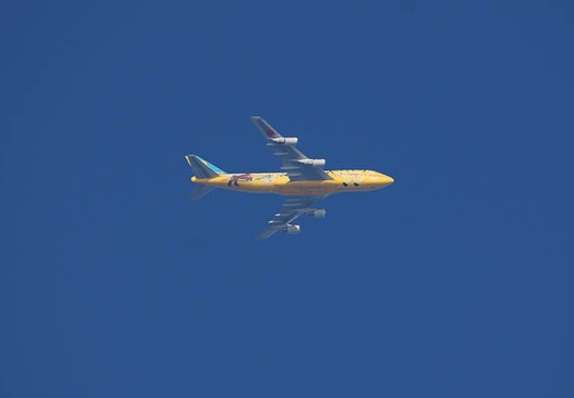 201009101550-DSC00278.jpg