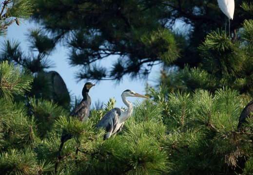 201009101556-DSC00292.jpg