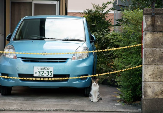 201009110917-DSC00501.jpg