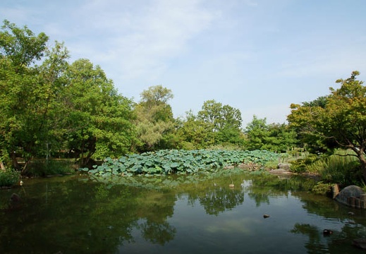 201009120826-DSC00867.jpg