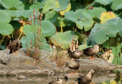 201009120828-DSC00871.jpg