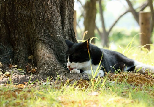 201009120911-DSC00984.jpg