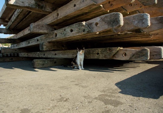 201009131555-DSC01610.jpg