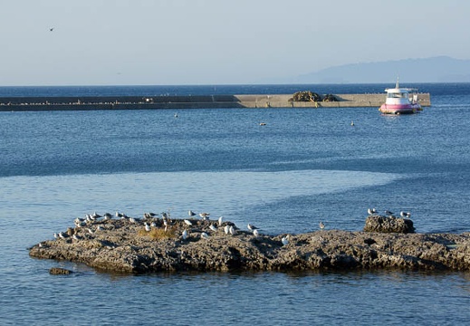201009131648-DSC01695.jpg