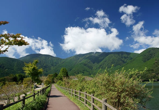 201009171003-DSC02174.jpg