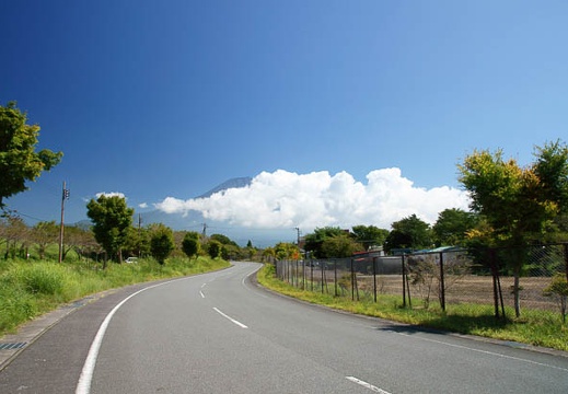 201009171055-DSC02225.jpg