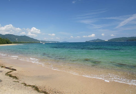 201009181222-DSC02651.jpg
