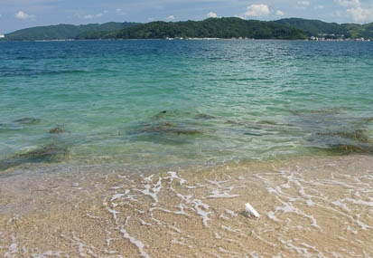 201009181223-DSC02655.jpg