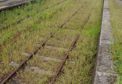 201009201041-DSC03732.jpg