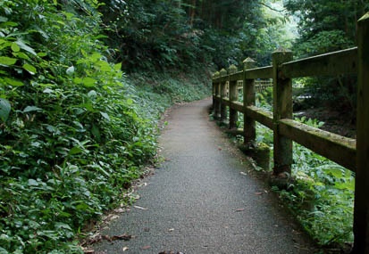 201009201257-DSC03794.jpg
