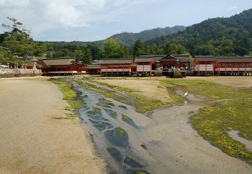 201009211239-DSC04294.jpg