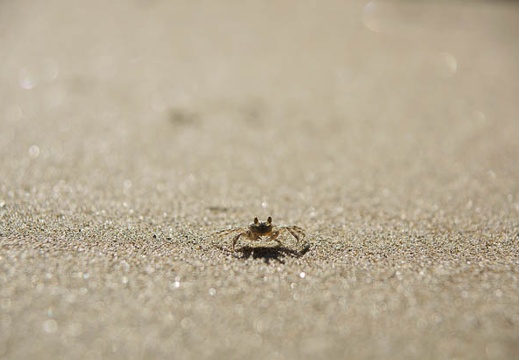201009220817-DSC04549.jpg