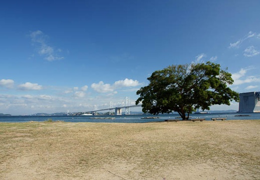 201009220835-DSC04567.jpg