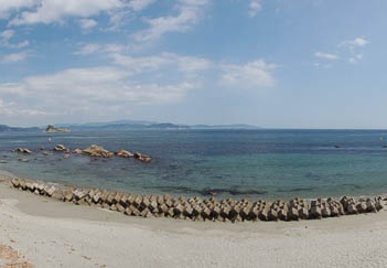 201009221341-DSC04928.jpg